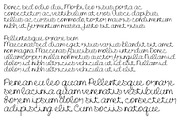 Font Birdy Cursive Script Fun Cute, a Script Font by PageLightStudios (Thumbnail 4 of 5)
