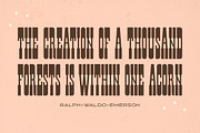 Santa Rosa Vintage Font Duo, a Sans Serif Font by Molly Suber Thorpe (Thumbnail 12 of 15)