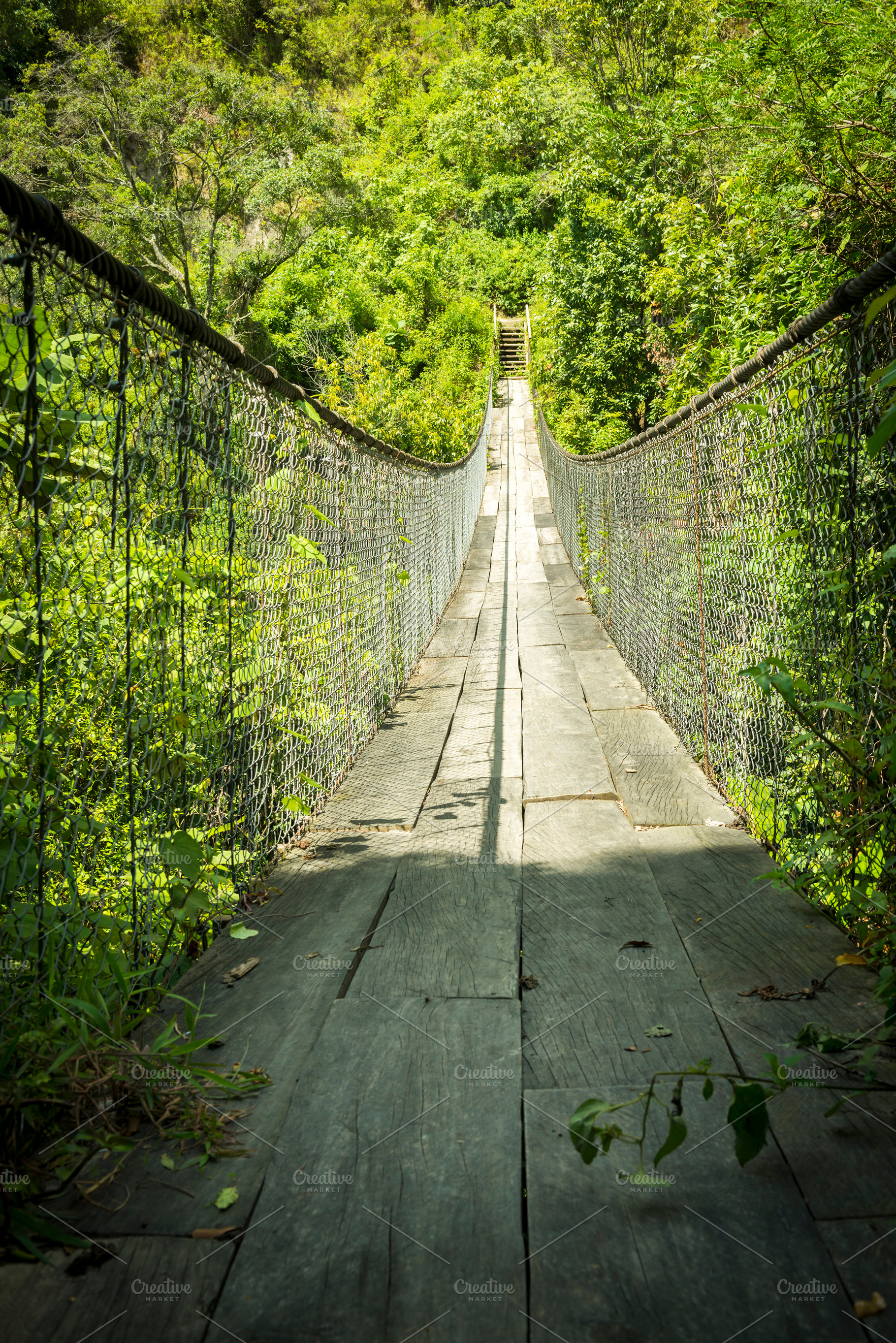 Forest Footbridge Guatemala, a Nature Photo by THP Creative