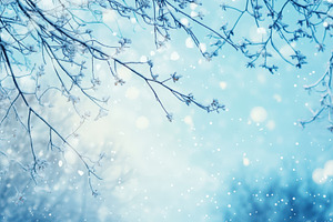 Beautiful winter background, a Photo by Pavel_design