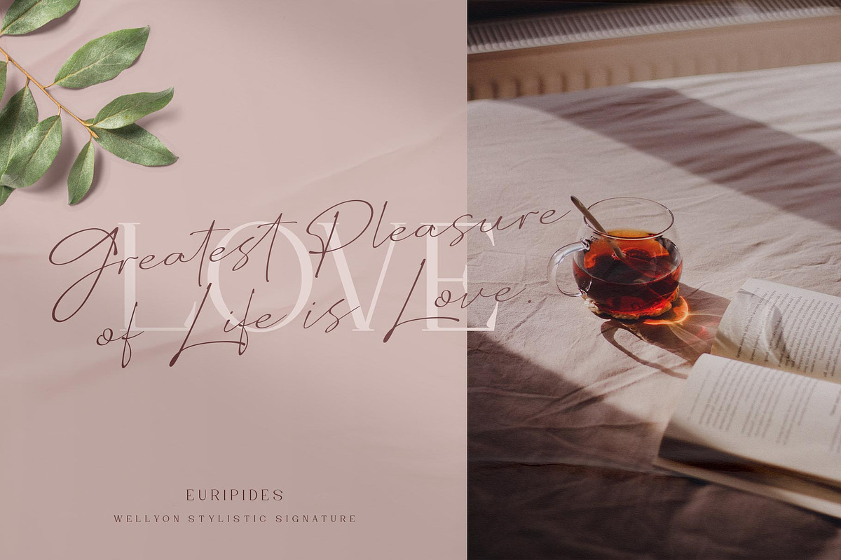 Wellyon Script signature, a Script Font by alit design (Photo 13 of 15)