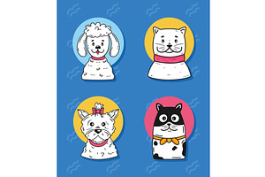 four dogs in blue background, an Animal Illustration by studiogstock