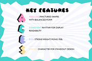 Fract Mono Font, a Handwritten Font by KengGraphic (Thumbnail 3 of 11)