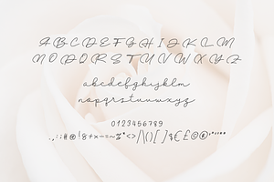 Habriella Monoline Signature Font