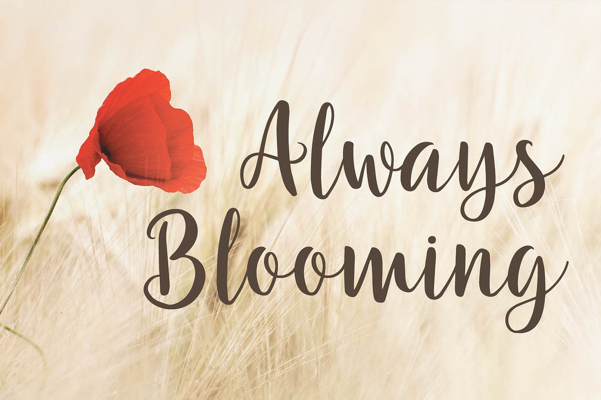 Eternal Lights, a Script Font by Patria Ari (P4tcreativa) (Photo 4 of 11)