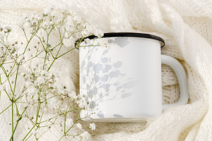 Cup soft cotton sun gypsophila stock photo containing white cup and soft