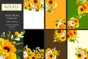 Soleil Floral Patterns & Clip Art