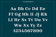 XXII Elissa, a Serif Font by Doubletwo Studios (Thumbnail 20 of 25)