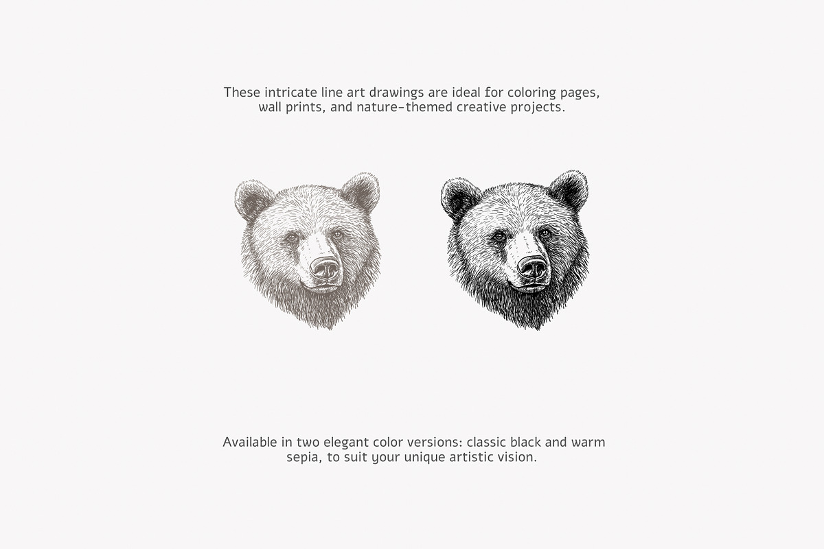 antique clipart graphite set, a Decorative Illustration by Pink Studio Art (Photo 11 of 11)