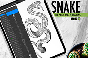 30 Procreate Snake Stamps, a Brush Add-On by Nuclear Brushes (Thumbnail 1 of 10)