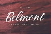 FONT BUNDLE - SHOP BUNDLE, a Script Font by Face Lab (Thumbnail 16 of 18)