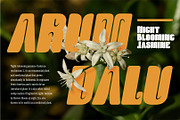 Dhalu - Display Sans Font, a Sans Serif Font by CuratedType Studio (Thumbnail 8 of 10)