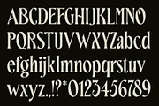Rattana - Display Serif Typeface, a Serif Font by Product Experience (Thumbnail 3 of 9)