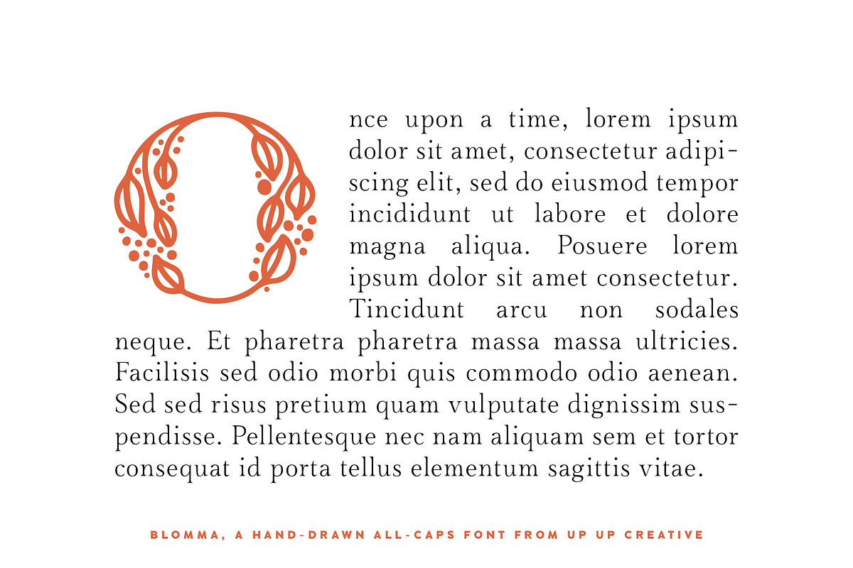 Blomma Hand-Drawn Display Font, a Serif Font by Up Up Creative (Photo 11 of 12)