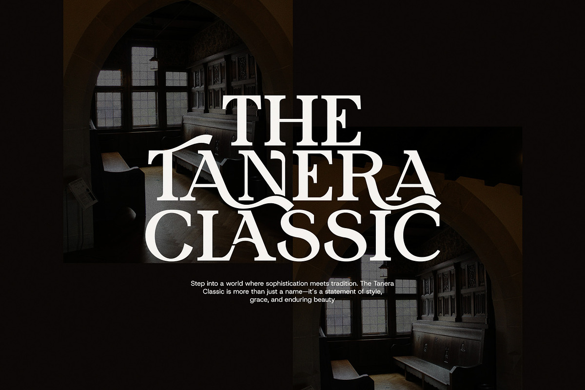 Rosela Modern Serif Font Typeface, a Serif Font by Graphicxell (Photo 5 of 8)