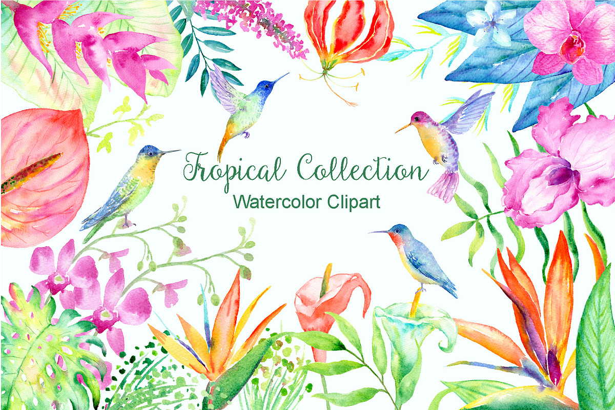 Watercolor Tropical Collection, an Illustration by Corner Croft (Photo 2 of 6)