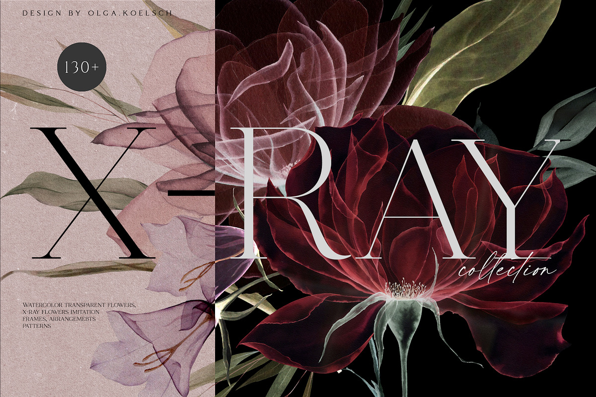 X-Ray Flowers Watercolor, an Object Illustration by Olga Koelsch (Photo 1 of 13)