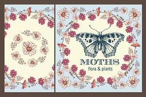 Set. Butterflies. Flowers. Card.