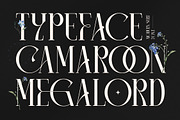 Camaroon Megalord Serif Display Font, a Serif Font by Storytype Studio (Thumbnail 1 of 15)