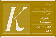 Dh Irlia - 7 Fashion Swash Family, a Serif Font by Dharmas Foundry (Thumbnail 3 of 19)