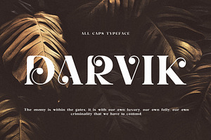 Bayllin Unique Serif Typeface