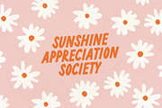 Lemon Milkshake Typeface and Dings, a Font by Nicky Laatz (Thumbnail 9 of 21)