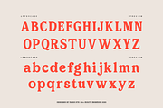 Pavalo Editorial Display Font, a Serif Font by Rasio Studio (Thumbnail 2 of 8)