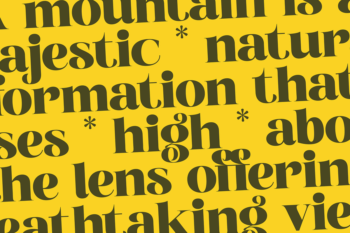 Broftin Resort Bold Serif Display, a Serif Font by timelesstype.co (Photo 7 of 20)