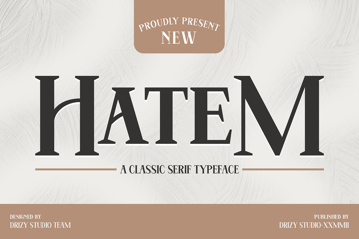 Hatem, a Serif Font by Drizy (Photo 1 of 11)
