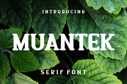 Muantek, a Serif Font by lelevien