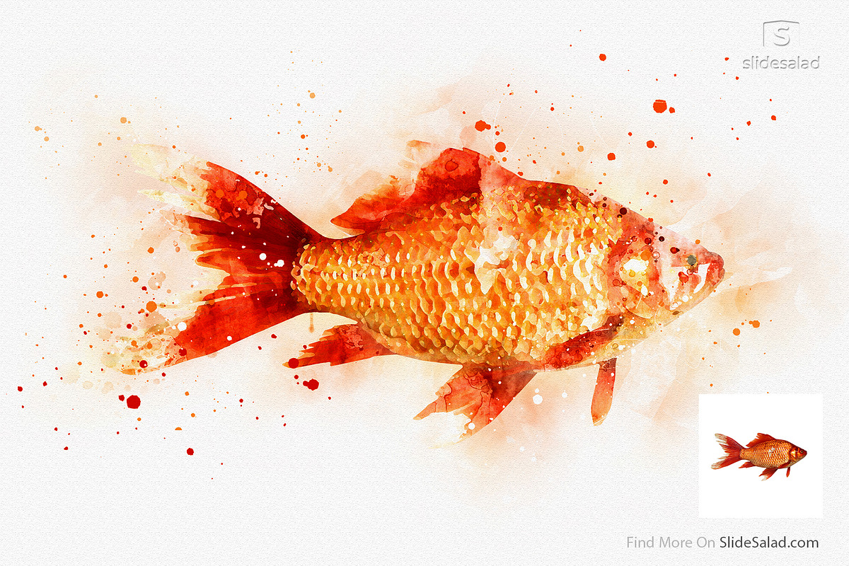 #1 Watercolor Photoshop Mock-ups, an Action Add-On by SlideSalad (Photo 42 of 44)