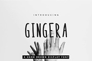Gingera Font Suite for Book & Text, a Sans Serif Font by NadaNora (Thumbnail 1 of 4)