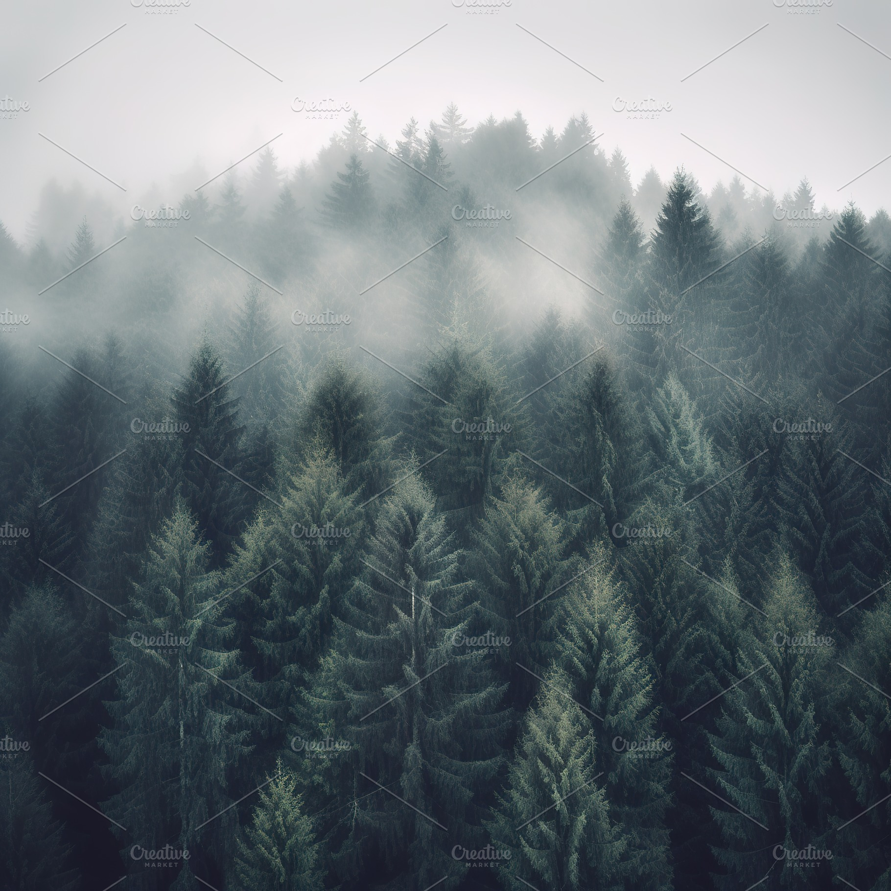 Misty mountain landscape stock photo, a Nature Photo by Virgo Studio