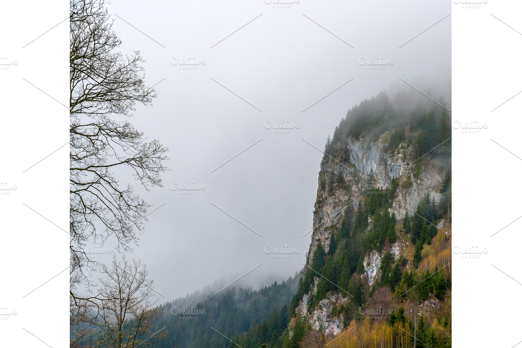 Bavarian alps in a fog germany containing landscape, spring, and mountain, a Nature Photo by Leonid Andronov