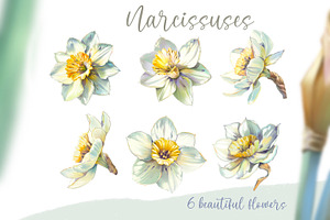 Narcissuses And Butterflies