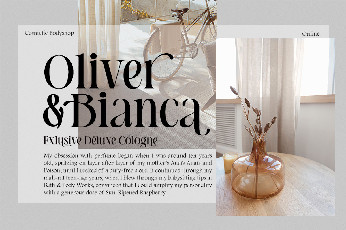Reliesta Display, a Serif Font by Gatype (Photo 6 of 10)
