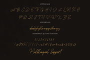 Rottis Amesty Signature Handwriting, a Handwritten Font by CreateBigSupply (Thumbnail 3 of 9)