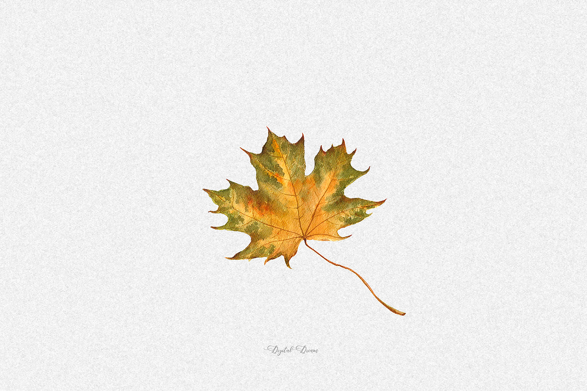 Watercolor fall leaves, an Illustration by DigitalDream (Photo 4 of 5)