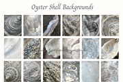 Oyster Shell Textures Backgrounds, a Background Graphic by youtoview (Thumbnail 5 of 12)