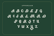 Syukr – Elegant Islamic Display Font, a Serif Font by delipensil (Thumbnail 4 of 9)