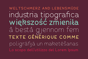 Fibon Sans Font Family