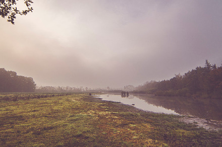 Lake Before Dusk Fall Warm Tones preview 6