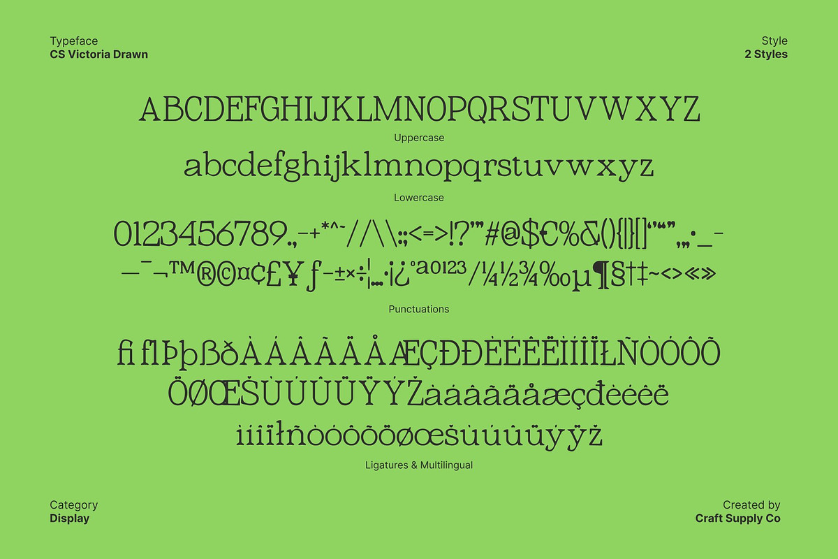 CS Victoria Drawn, a Serif Font by Craft Supply Co. (Photo 8 of 8)