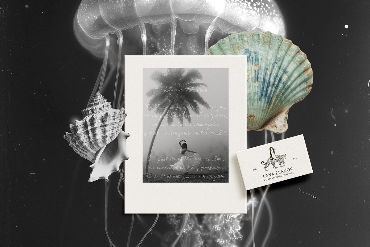 SEASCAPE Line, Seashells & Textures, an Object Graphic by Lana Elanor (Photo 4 of 11)