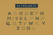 Godan - Slab Serif Font Family, a Slab Serif Font by Afkari Studio (Thumbnail 5 of 12)