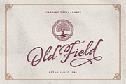 Lovely Sunday Script Font, a Script Font by Monoco Type Foundry (Thumbnail 6 of 9)