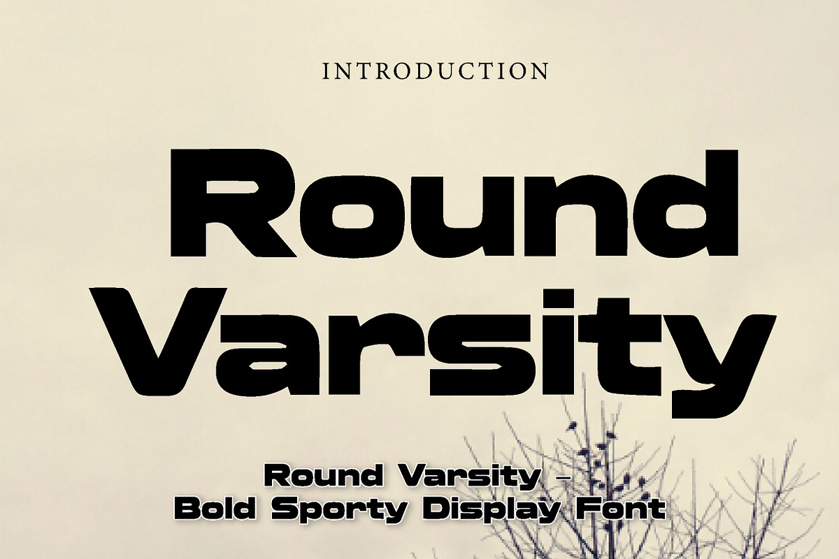 Round Varsity, a Slab Serif Font by Wow Magic (Photo 1 of 3)