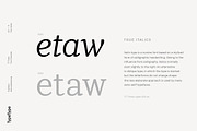 TT Tricks, a Serif Font by TypeType (Thumbnail 3 of 10)