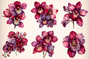 Watercolor Burgundy Orchids Clipart, an Illustration by Digital Artistic99 (Thumbnail 3 of 9)