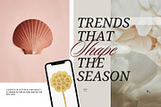 Soft Pastel Stock Photos Bundle 280, a Nature Photo by Tale.Haus (Thumbnail 19 of 19)